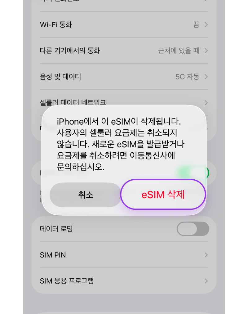 eSIM 삭제 2-2